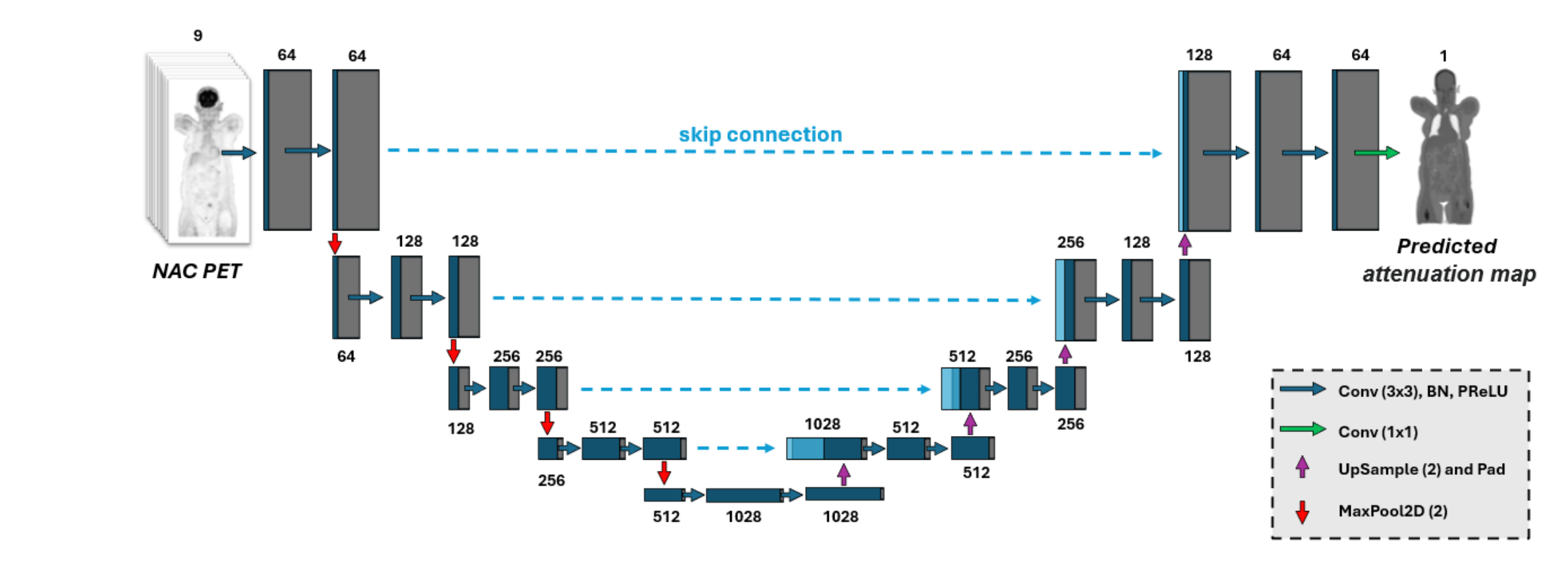 Schematic of the U-Net architecture used to predict attenuation maps